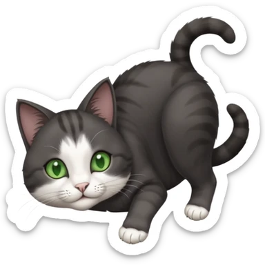 beautiful female solid dark grey cat with green eyes, white toes/paws and white patch on her chest rolling upside down sticker