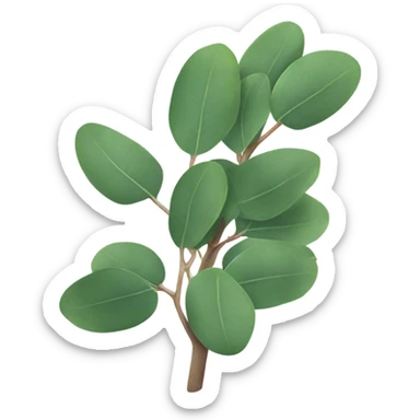  branch of silver dollar eucalyptus sticker