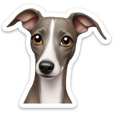 Italian greyhound sticker