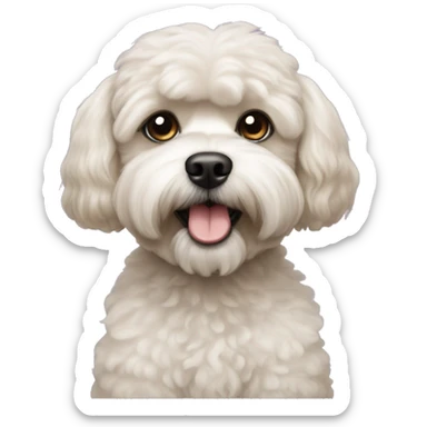 A poodle mixed with a shih tzu sticker