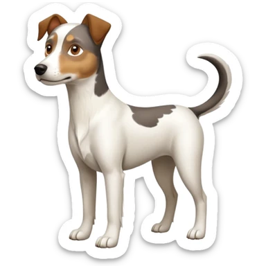 a full body large white parson russell looking dog the size of a kelpie with light brown ears and a light brown patch on one eye and a large snout sticker