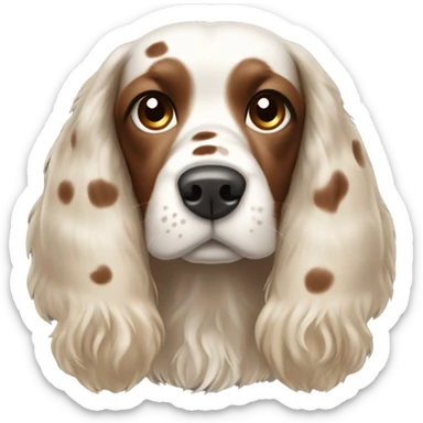 Cocker spaniel with a brown and white spots and hairs poking out on top of head  sticker