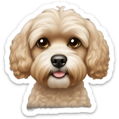 Poodle Shih Tzu mix tan color sticker