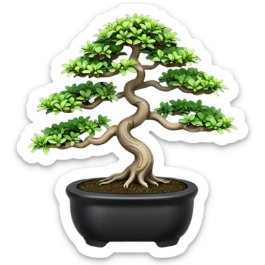 Bonsai Tree – Miniature tree in small pot, trimmed carefully, black pot sticker