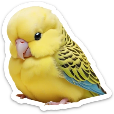 Meme-Worthy Cute Sleeping Yellow Budgie Portrait Emoji, Head resting peacefully with a contented smile, showcasing a petite, delicate build and a luxuriously soft yellow feathered fur, eyes shut in a serene nap, Simplified yet hilariously adorable features, highly detailed, glowing with a soft, drowsy light, high shine, relaxed and utterly lovable, stylized with an air of playful laziness, bright and heartwarming, soft glowing outline, capturing the essence of a comically sleepy budgie, so meme-worthy it feels like it could instantly become the next viral sensation of adorable slumber! sticker