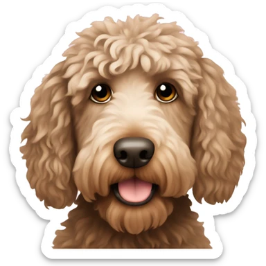 Australian labradoodle  sticker
