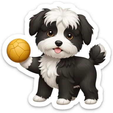 black and white Havenese dog standing with ball sticker