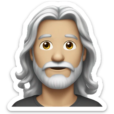 bearded man with long hair, blue-grey eyes sticker
