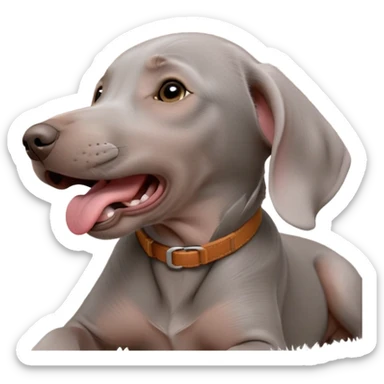 cinematic-cute-yawning-weimaraner puppy-portrait-emoji,-head-tilted-slightly-with-a-dramatic,-wide-open-yawn,-revealing-a-sleek grey fur-with-a-subtle-shimmer,-floppy-ears-slightly-drooping,-round-brown-eyes-barely-open-in-drowsy sticker