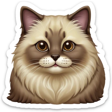 Cinematic Adorable Fluffy Brown Seal Ragdoll Cat Portrait Emoji, Head tilted elegantly with big, sparkling eyes, soft brown fur with darker seal points on the ears, face, and paws, Simplified yet regal features, highly detailed, glowing with a soft, warm glow, high shine, affectionate and playful, stylized with a touch of grace, bright and endearing, soft glowing outline, capturing the essence of a majestic and loving kitty, so elegant it feels like it could spring into motion with a regal leap! sticker