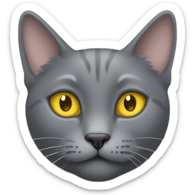korat grey cat head little fluffy and cute smile with yellow eyes and black public sticker