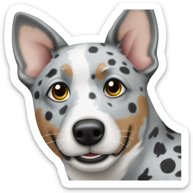 Australian cattle dog grey and white spotted with blue eyes no brown  sticker