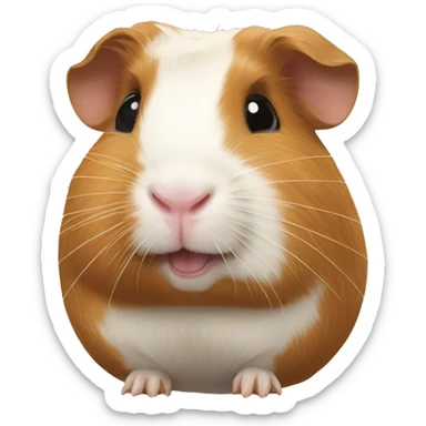 Guineapig with a piece of hay in his mouth sticker