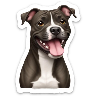 happy brindle Staffordshire with no white sticker