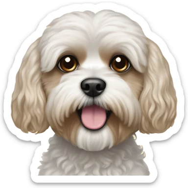 Poodle Shih Tzu mix sticker