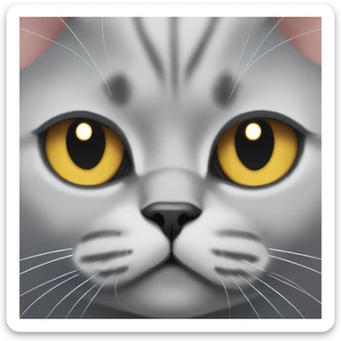 British Shorthair Cat with a white slit above its nose sticker