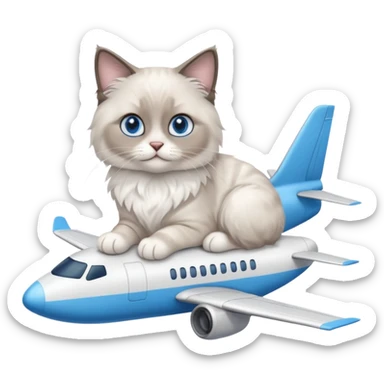 Cute ragdoll cat on an airplane. Should sit on top of the plane, cat is way bigger than airplane sticker