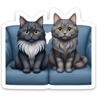 Portrait of a black smoke Maine Coon cat with long grey ear tufts, alongside a British Shorthair cat with a solid blue coat on sofa. Both cats with detailed fur textures and playful expressions. Soft, elegant background of room with warm, natural tones. Transparent background. sticker