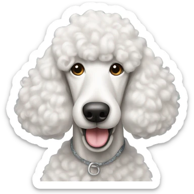 White standard poodle smiling  sticker