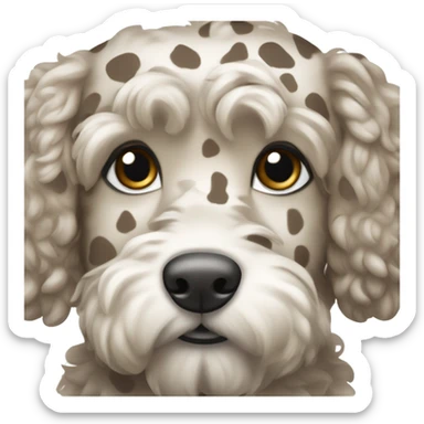 Light brown and grey spotted cockapoo  sticker