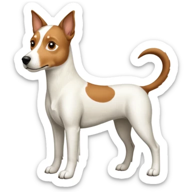 a full body large white parson russell looking dog the size of a kelpie with light brown ears and a light brown patch on one eye and a large snout sticker