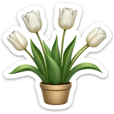 White tulips sticker