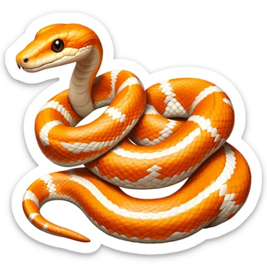 white and orange striped Boa Snake sticker