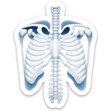 ribs that is in an xray format make it blue and white sticker