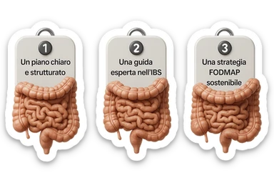 emoji stile iphone di 3 targhette numerate con intestino realistico davanti ad ogni targhetta, le targhette sono:
"1 – Un piano chiaro e strutturato
2 – Una guida esperta nell’IBS
3 – Una strategia FODMAP sostenibile"
, iperrealistico 4k sticker