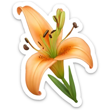 light orange lilium sticker