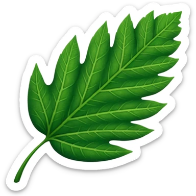hoja fotografia sticker