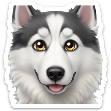 Black and white fluffy husky with heterochromia  sticker