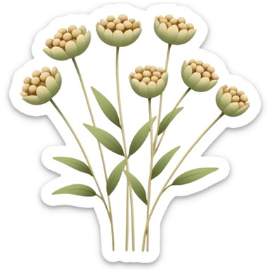 Minimal simple dried wildflower, thin stems, small round seed clusters, beige and soft green, flat vector, clean outline, emoji style, white background” sticker