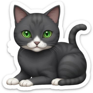 beautiful female solid dark grey cat with green eyes, white toes/paws and white patch on her chest rolling over sticker