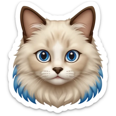 Ragdoll cat, with dark brown nose/center face area with surrounding beige fur, bright blue eyes sticker