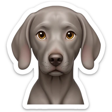 cinematic-noble-weimaraner-portrait-emoji,-poised-and-regal,-with-a-strong,-athletic-build-and-a-lustrous,-well-groomed-grey fur,-deep-set-soulful-brown-eyes,-simplified-yet-sharp-and-sophisticated-features,-highly-detailed, sticker