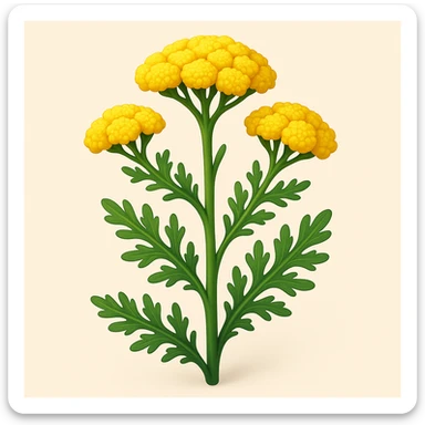 cartoonish yellow yarrow plant in 3D iOS style, volumetric, bright, no faces or smiles, natural form, expressive details sticker