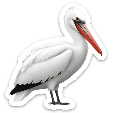 peli roja blanca sticker