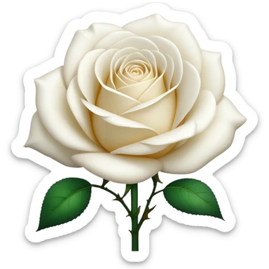 White rose sticker