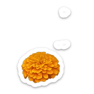 Orange marigold flowers sticker