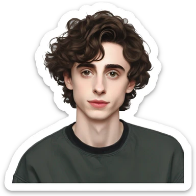 Feminine Timothee Chalamet	Androgynous short hair, thrift store fashion	British, actor, artsy	Artsy, philosophical, patient sticker