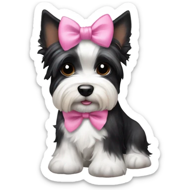 Black and white Biewer Terrier with pink bow between ears  sticker