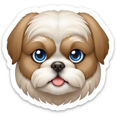 Beige and white Shih Tzu with one blue eye and one brown  sticker