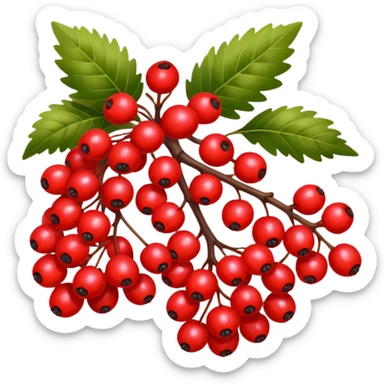 rowan/mountain ash berries sticker
