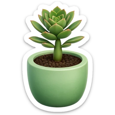 Desk Succulent Plant sticker