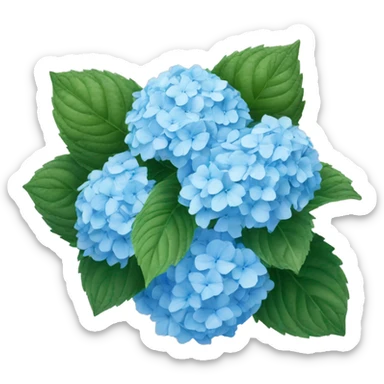 Light blue hydrangea ￼ sticker
