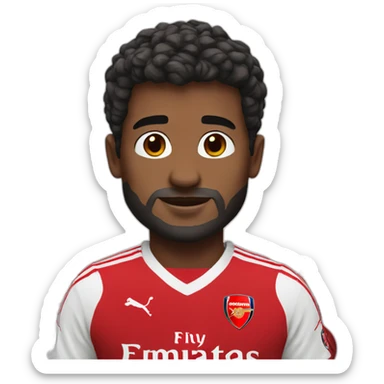 Arsenal football club sticker