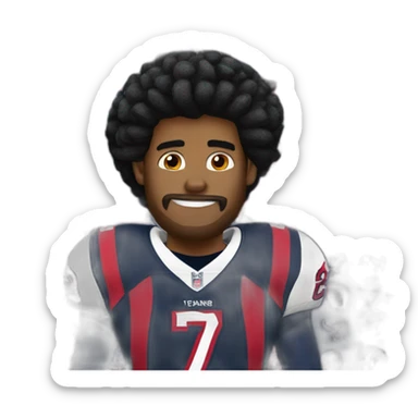 Houston texans sticker