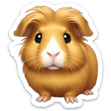 honey-colored guinea pig with long hair sticker