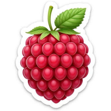 raspberry sticker